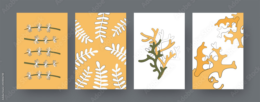 Naklejka premium Collection of contemporary art posters with undersea algae. Underwater plants, seaweed cartoon vector illustrations. Marine life, nature concept for designs, social media, postcards, invitation cards