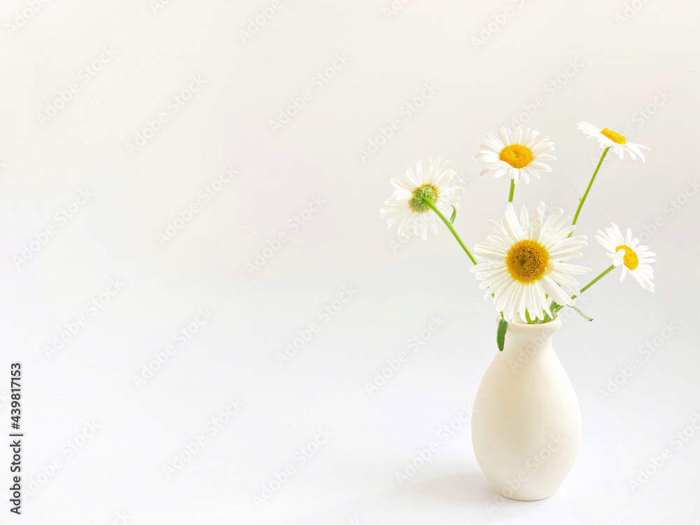 Flower composition.  High key photography with white daisies in a clay vase on a white background.  Natural light template for your projects.