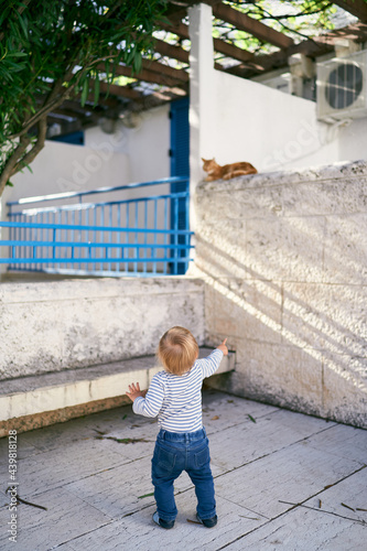 Kid stands near the stone fence of the house and looks at the cat sitting on it. Back view © Nadtochiy
