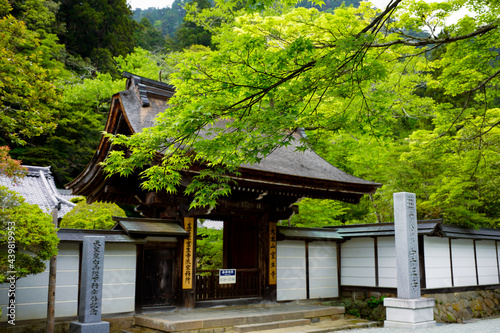 Murouji Temple in Nara. photo