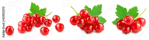 Red currant berries with leaf isolated on white background. Set or collection photo