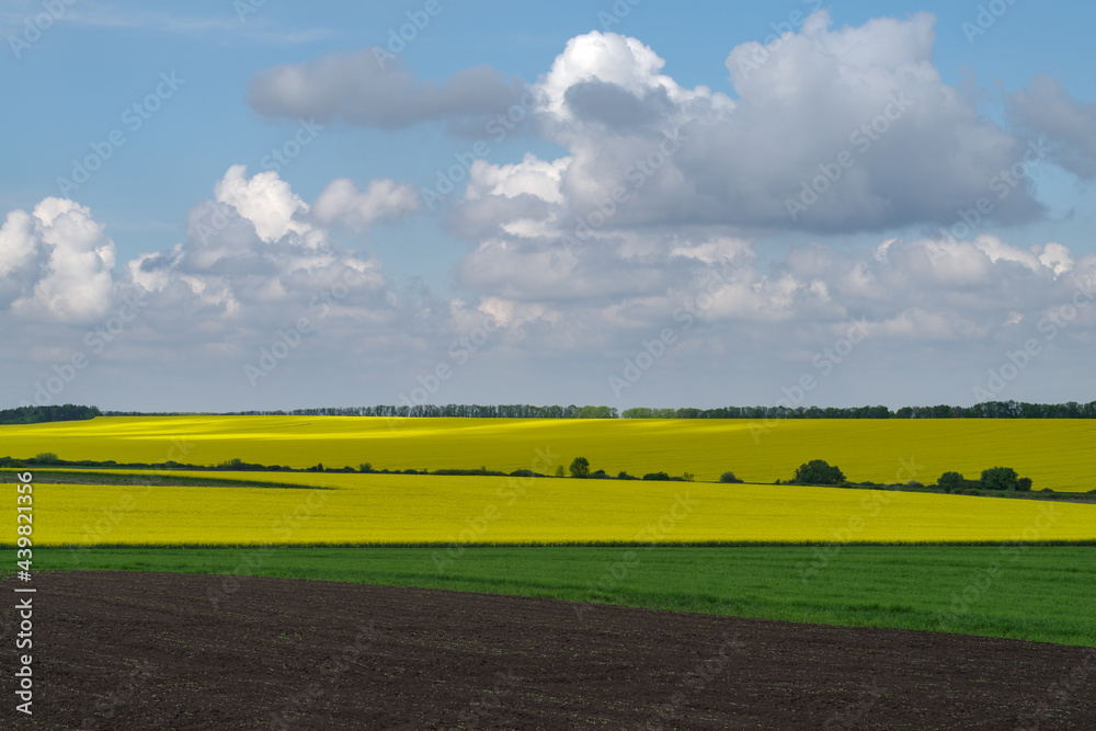 Obraz premium Spring agricultural landscape, Podilski Tovtry nature reserve, Podilia region, South-Western Ukraine
