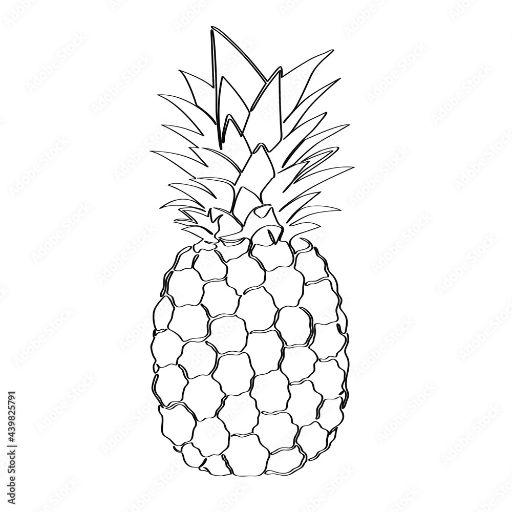 Pineapple on a white background. Isolated line art. Pineapple on a white background. Isolated line art.
