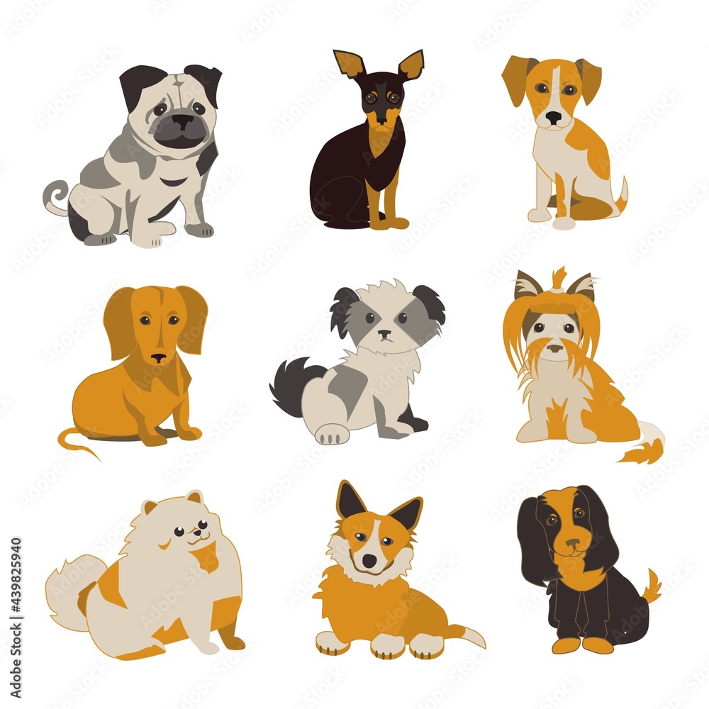 Obraz premium Small dogs of different breeds set Flat vector isolated illustration