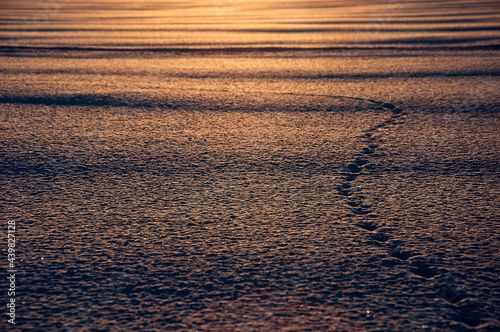 sunset in Finnish lapland