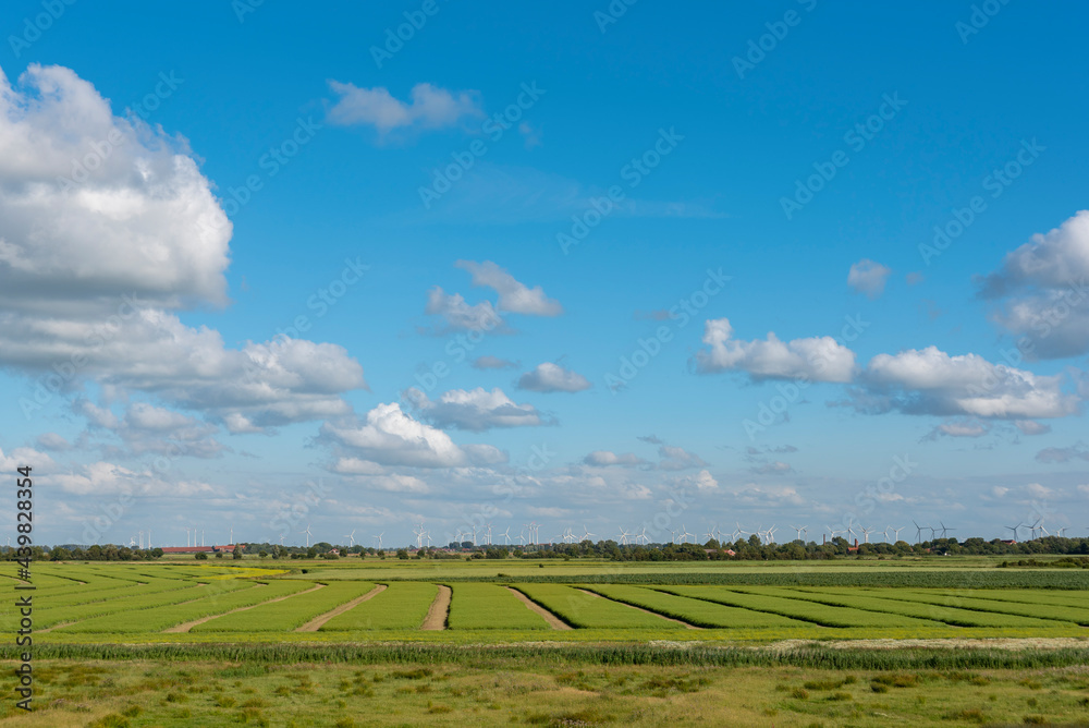 Coastel landscape with wind farm near Pilsum Coastel landscape with wind farm near Pilsum