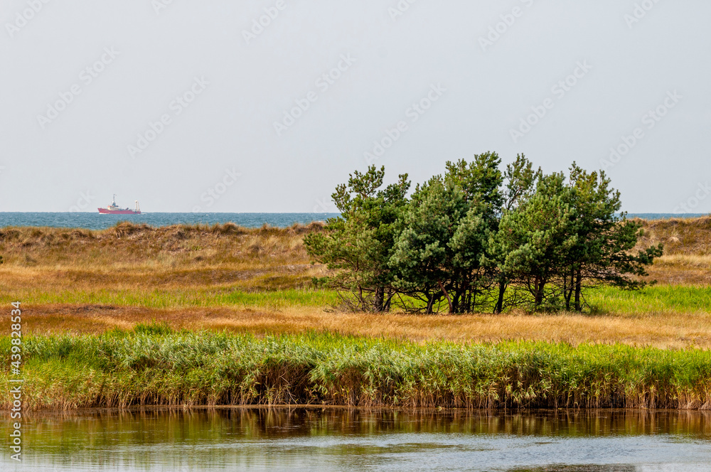 Unberührte Natur in einem Naturschutzgebiet an der Ostsee. Im Hintergrund ist die offene See mit einem Schiff zu sehen.