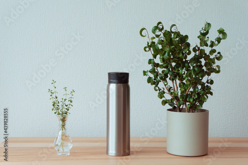 Obraz na plátně 水筒と観葉植物