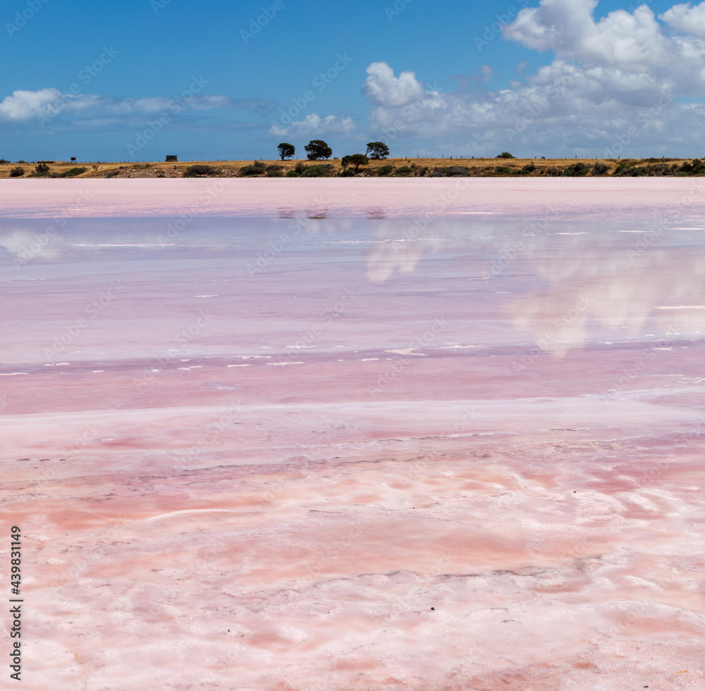 view across bed of pink salt lake view across bed of pink salt lake