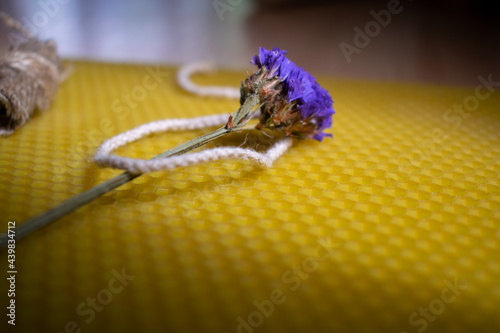 Close-up of a textured honeycomb with purple flower