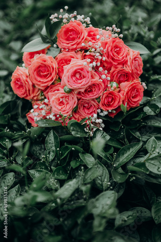 Bouquet of roses on a background of green leaves wet after the rain