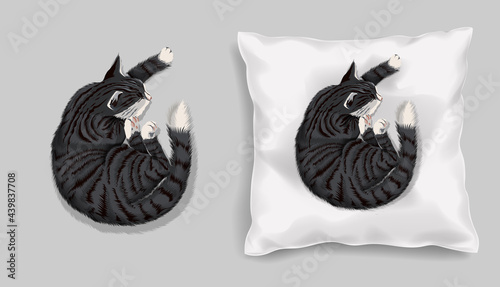 Vector soft fabric pillow mock up for your design. Gray cat slipping on the cushion. Pillows with transparent shadows. View from the top
