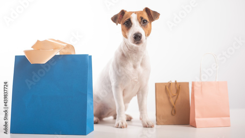 Dog shopping sale. Jack russell terrier and different paper bags on a white background