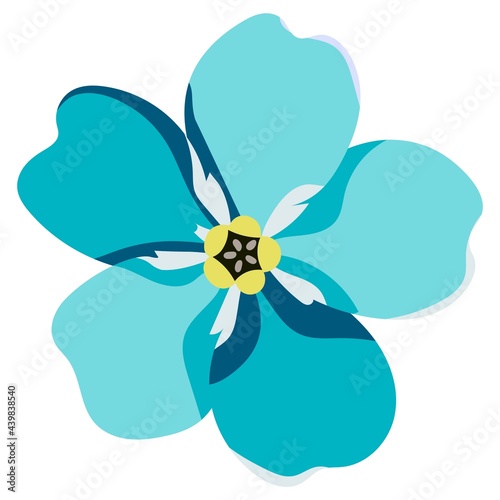 Blue forget-me-not flower on a white background. Forget-me-not is tender. Vector for printing wallpapers, fabrics, pajamas and other design.