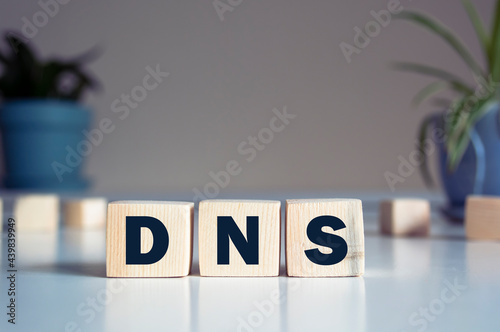DNS acronym on wooden cubes on a light background with a cactus photo