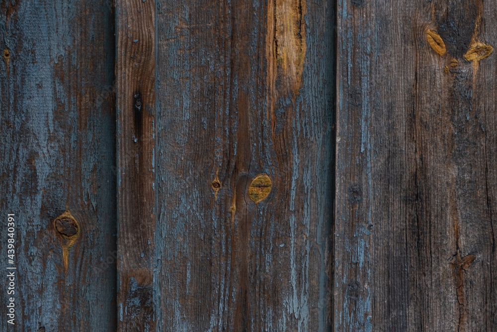 The old wall. Gray, sunburned, faded wood. Tar, knots, streaks, remnants of peeling old gray-blue paint. Wood texture. The old wall. Gray, sunburned, faded wood. Tar, knots, streaks, remnants of peeling old gray-blue paint. Wood texture.