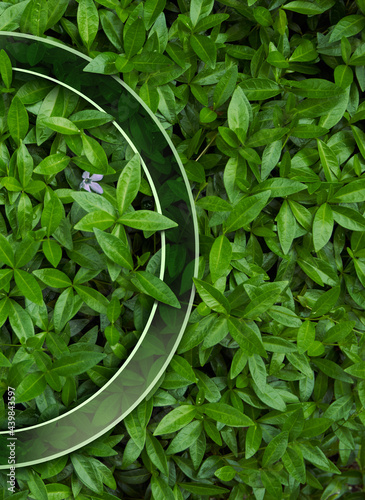 Frame for natural background from juicy green leves with drops after rain.