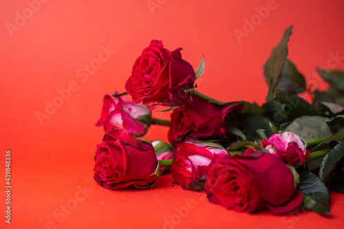 Fototapeta Naklejka Na Ścianę i Meble -  bouquet of flowers from red roses on a red background