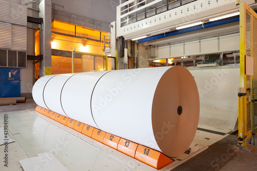 Big rolls of paper coming out of the machinery in a paper mill plant. photo