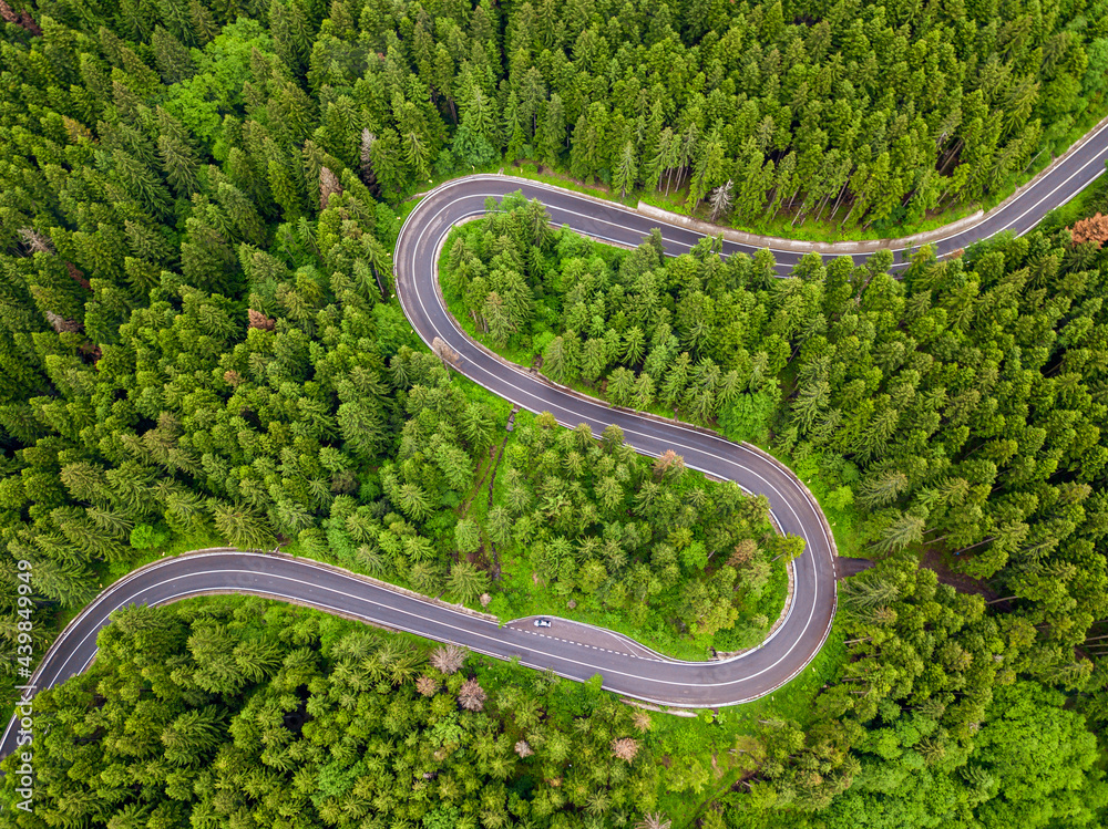 Winding road trough the forest
