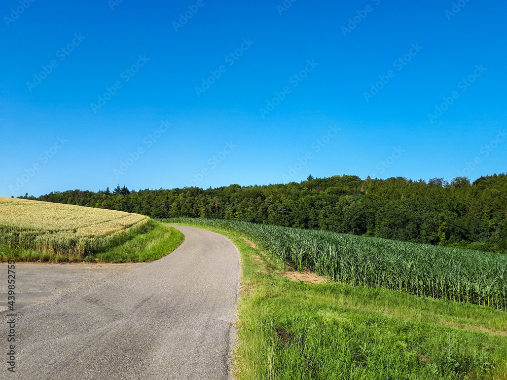 country road against clear blue sky in rural landscape with copy space in summer in Germany