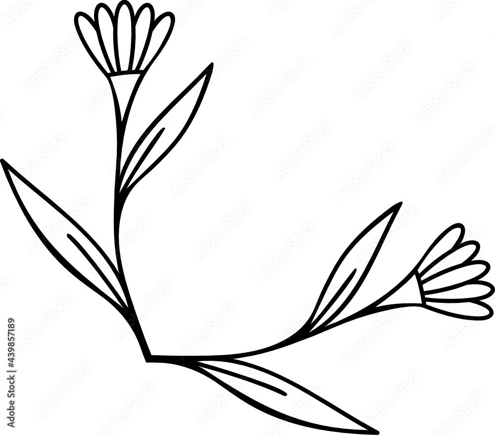 Leaves with Flowers Bouquet Line Art Illustration Leaves with Flowers Bouquet Line Art Illustration