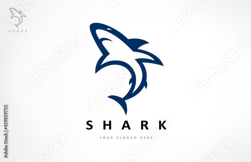 Shark logo vector. Fish animal design.