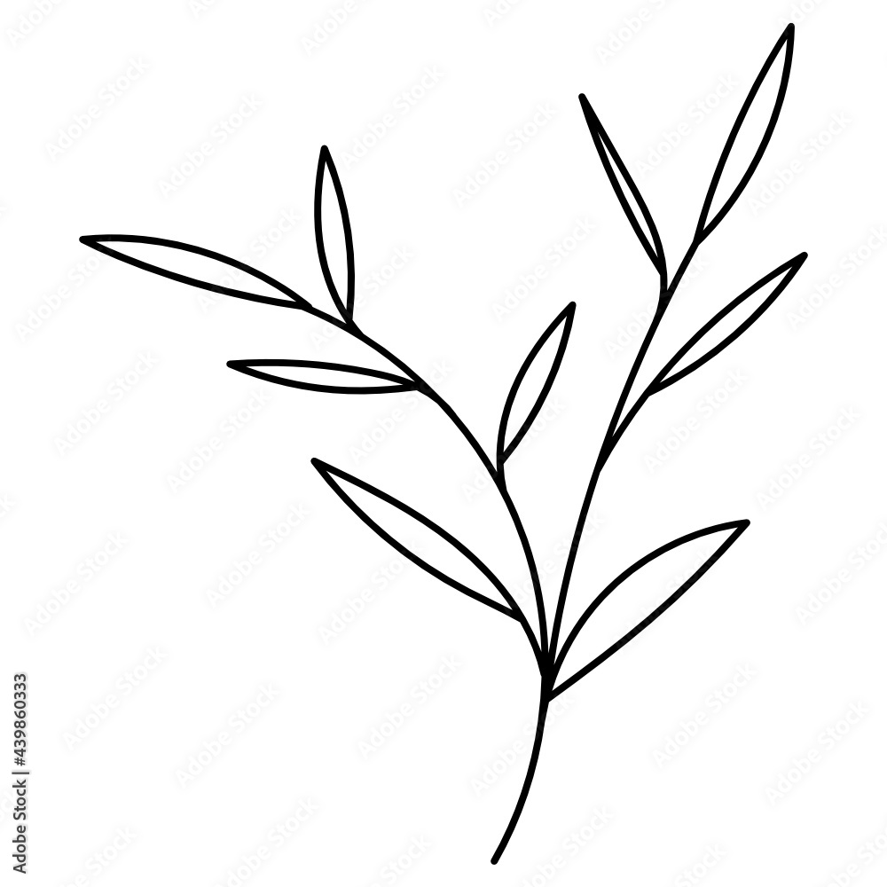 Leaf Plant Line Art Illustration Leaf Plant Line Art Illustration