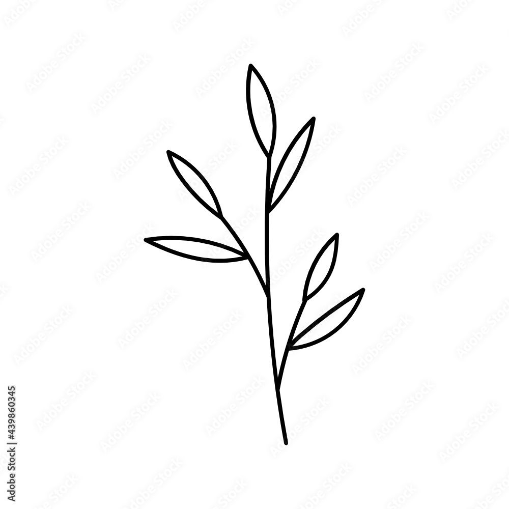 Leaf Plant Line Art Illustration
