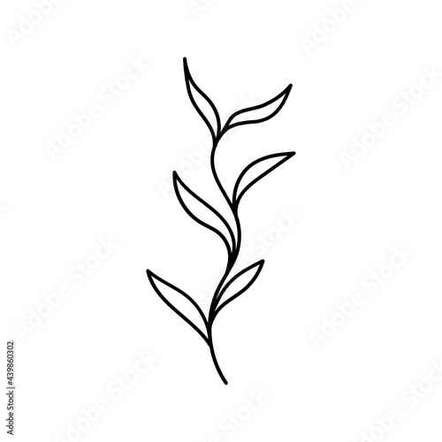 Leaf Plant Line Art Illustration