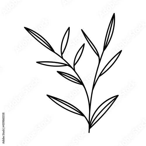 Leaf Plant Line Art Illustration © SEASUN AND SVGcricut