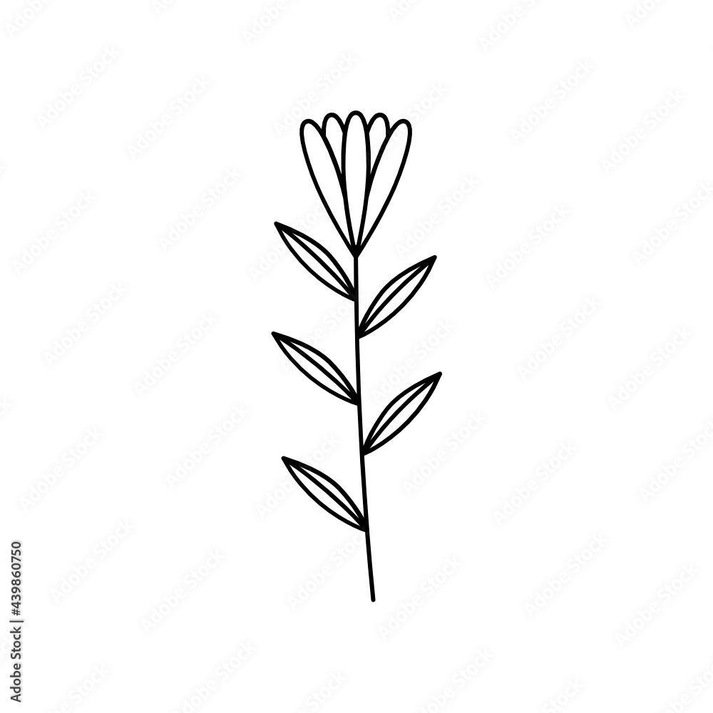Leaves with Flowers Bouquet Line Art Illustration Leaves with Flowers Bouquet Line Art Illustration