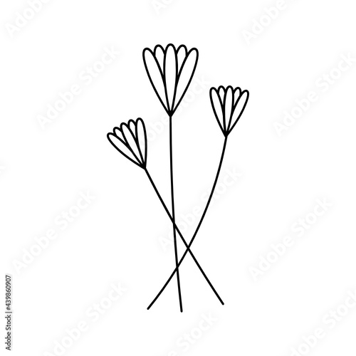 Leaves with Flowers Bouquet Line Art Illustration