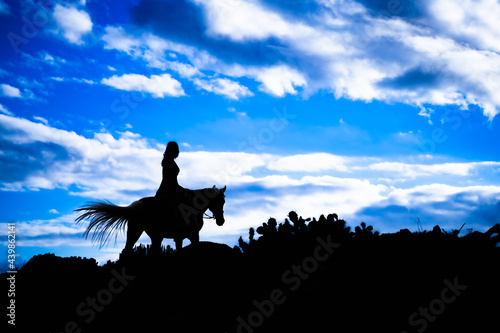 Silhouette horseback woman riding on  horse with blue sky on horizon. Animal and holiday concept.