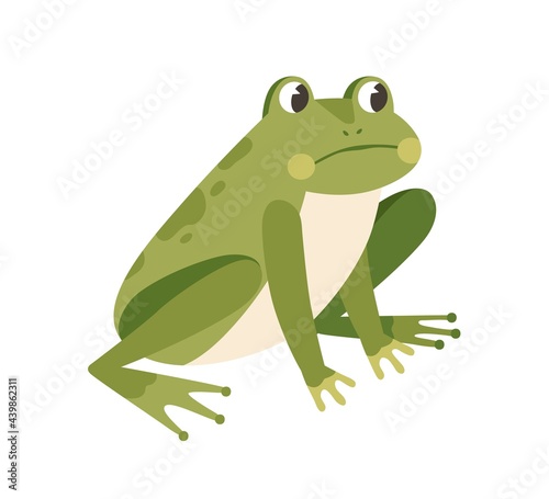 Sad frog sitting with unhappy face. Funny thoughtful froglet. Upset green toad. Childish colored flat vector illustration of miserable amphibian animal isolated on white background