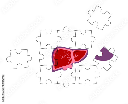 World hepatitis day. Concept of cirrhosis.Fragile and broken liver falls apart by puzzles.World hepatitis day. Organ care. Vaccinate, treat, test. Vector in line art style. Medical banner.