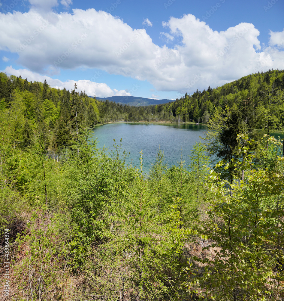 Wanderung zum Frillensee am Zwiesel Wanderung zum Frillensee am Zwiesel