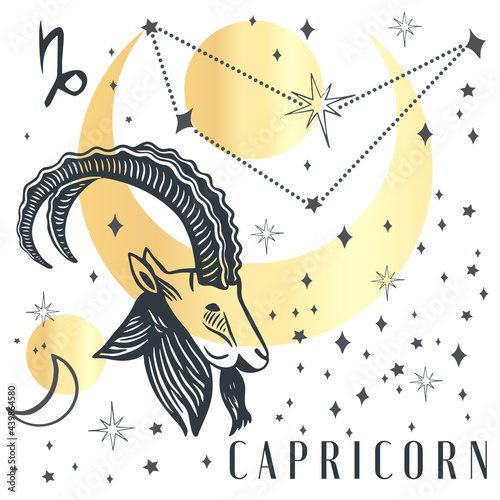 Zodiac capricorn boho magical vintage distressed art symbol or label. Horoscope sign line art silhouette design vector illustration. Creative decorative elegant astrology zodiac emblem