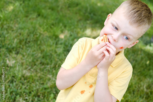A boy bites a French hot-dog and stains his clothes with a ketchup stain. In the park. The concept of cleaning stains on clothes.
