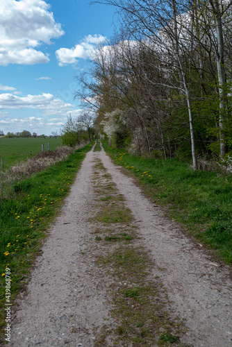 lonely dirt road with meadow and trees