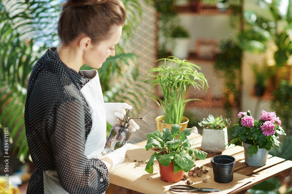 Obraz premium woman in rubber gloves in sunny day watering plant