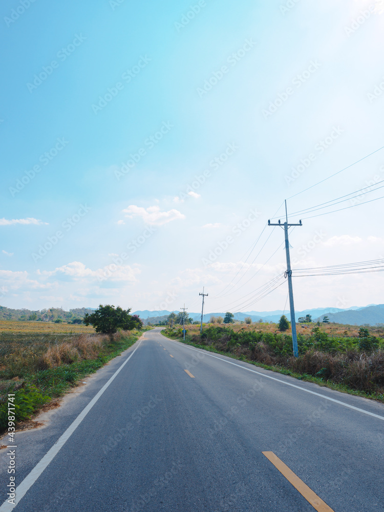 Rural road with tree and curve.