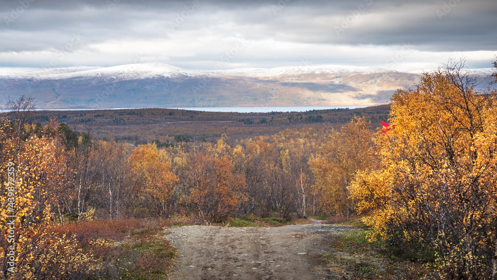 road in Abisko National Park in polar Sweden in golden autumn