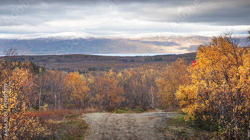 road in Abisko National Park in polar Sweden in golden autumn