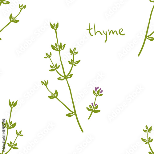 Seamless pattern with thyme. Colorful paper cut culinary herbs isolated on white background. Doodle hand drawn vector illustration