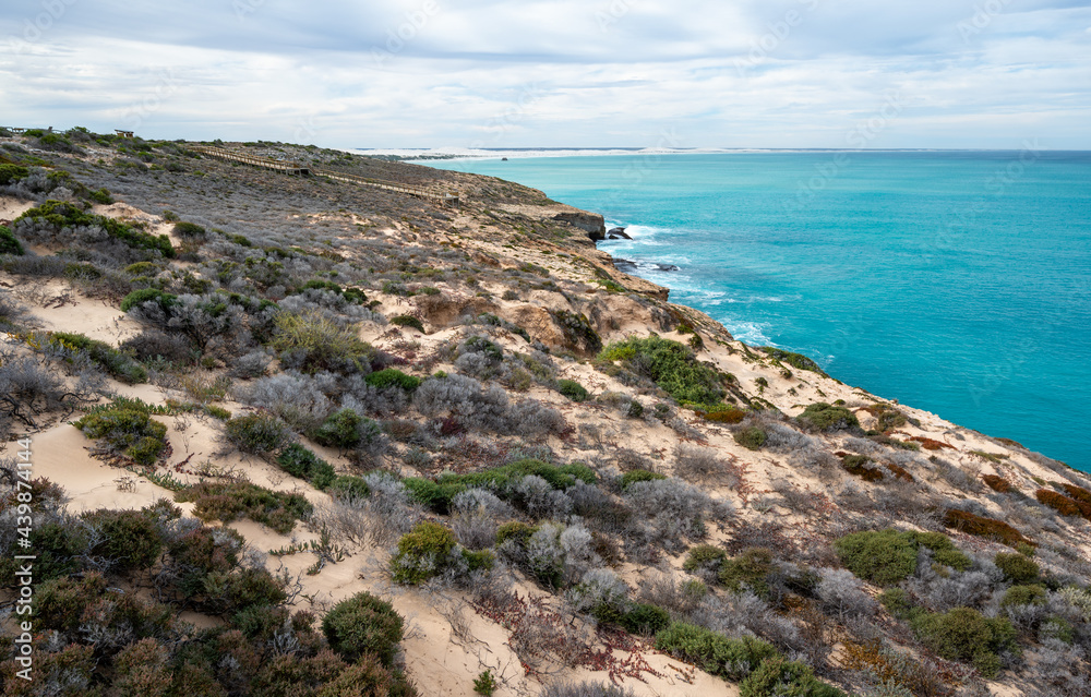 Diverse flora on sandy soil at Head of Bight on Australia's Nullarbor Plain. The location is noted as a breeding place for southern right whales