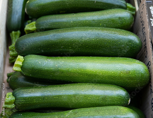 frische Bio Zucchini auf einem Gemüse Markt