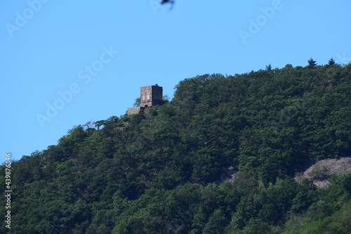 Ruine der Burg Rossel über dem Rhein photo