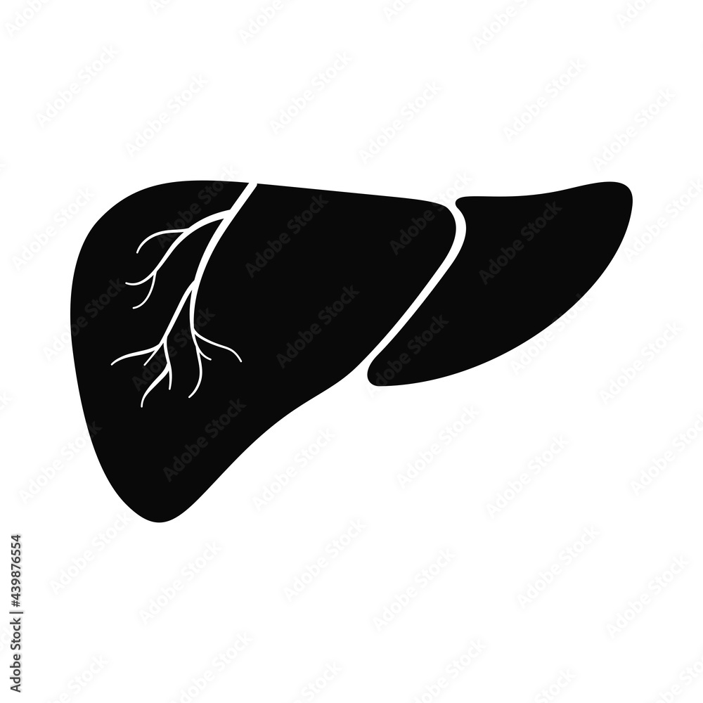 Anatomical human liver organ in vector icon Anatomical human liver organ in vector icon
