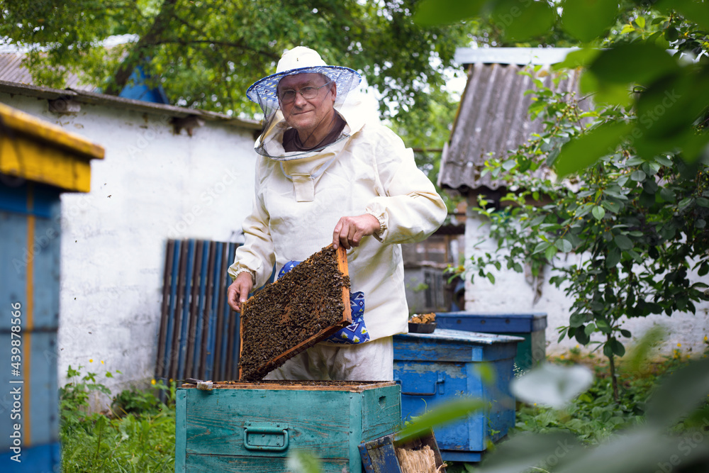 Beekeeper is working with bees and beehives Beekeeper is working with bees and beehives